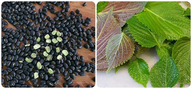 uong-nuoc-tia-to-dau-den-co-tac-dung-gi