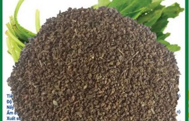 ai-bi-mo-mau-cu-dung-hat-nay-chi-5-nghin-mot-nam-tu-la-den-re-deu-la-thuoc-quy