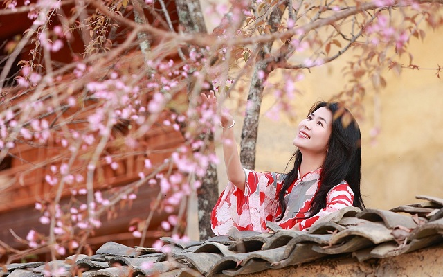 lung-cu-lan-dau-tien-to-chuc-le-hoi-hoa-mai-anh-dao