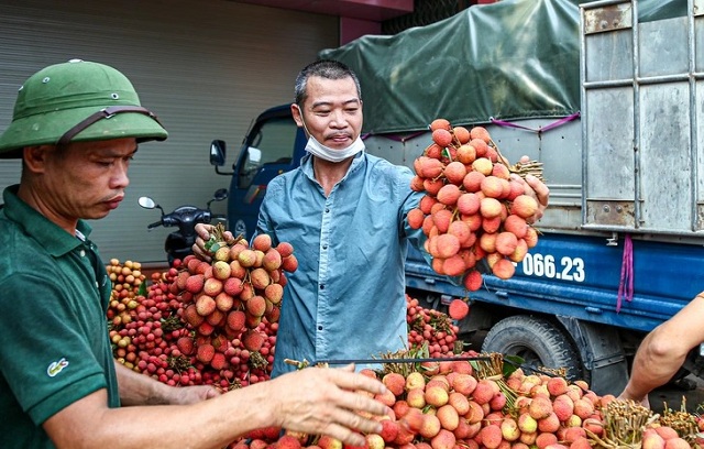 vi-sao-trai-vai-vua-la-thuc-an-vua-la-loai-thuoc-cua-tu-nhien