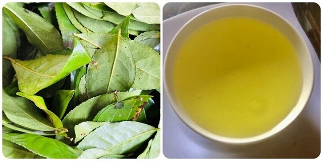 dieu-gi-se-xay-ra-voi-co-the-neu-ban-uong-nuoc-che-xanh-moi-ngay