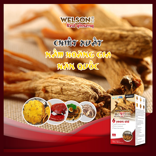 welson-red-ginseng-nam-quy