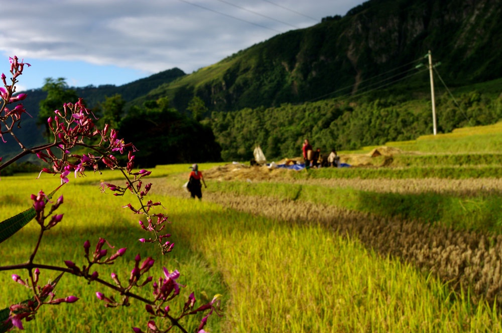 don-dap-du-an-tay-bac-van-hoa-doanh-nhan