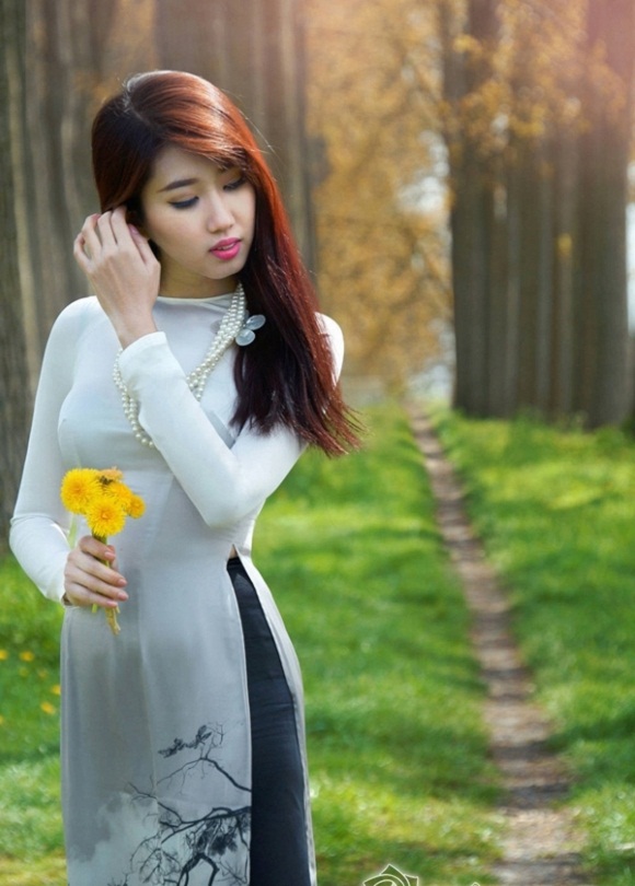 aodai1