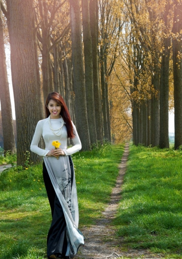 aodai11