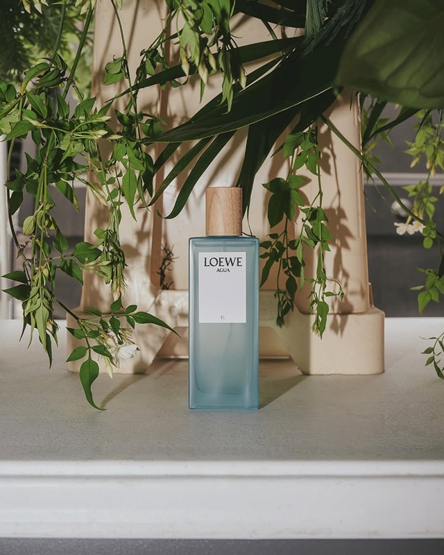 loewe-1-71