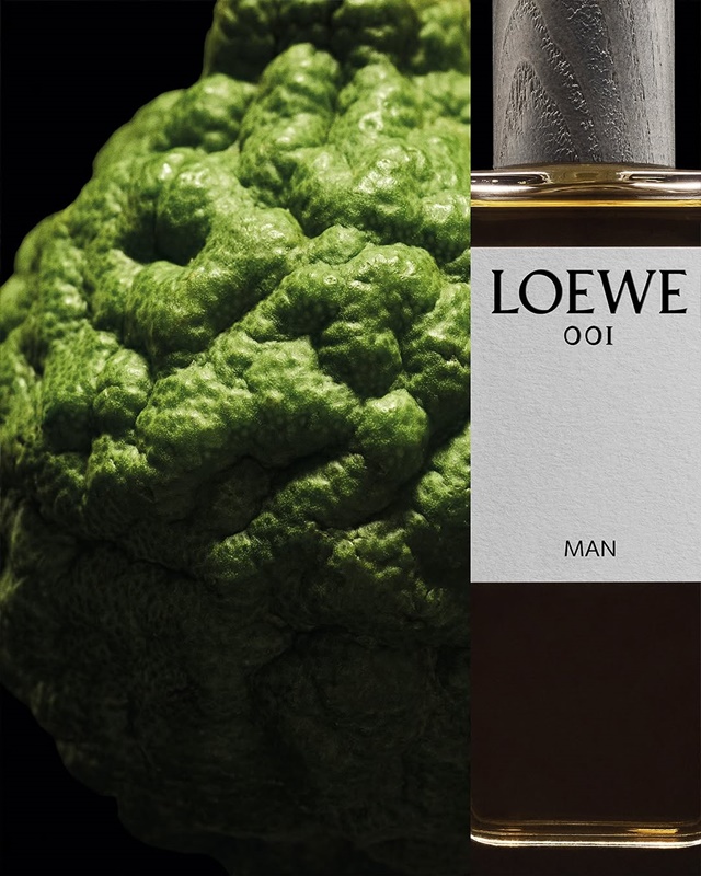 loewe-1-73