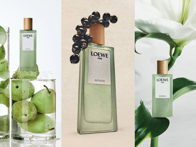 Loewe-Sutileza-3-12-2