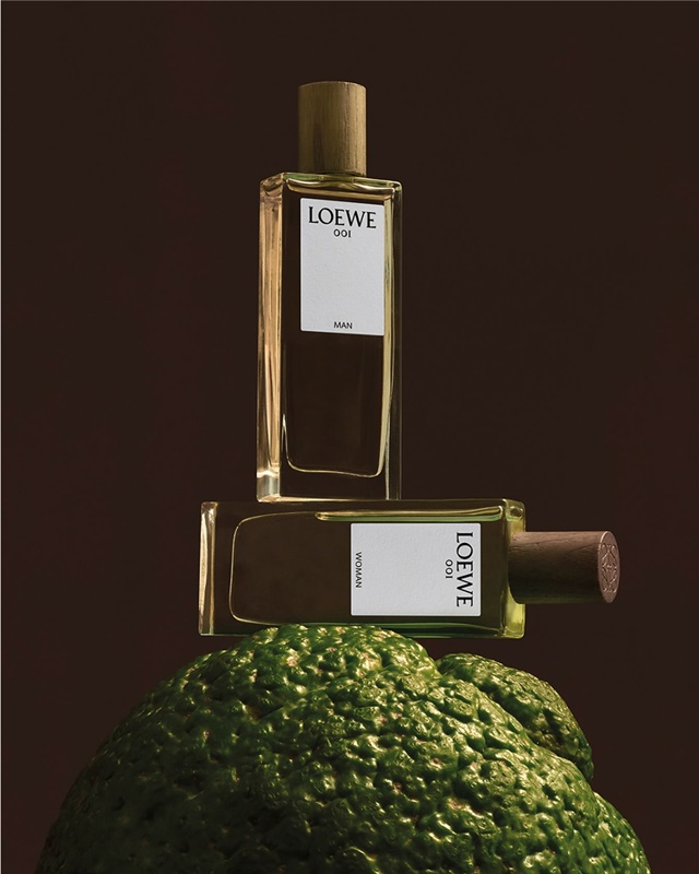 loewe-2-7-3