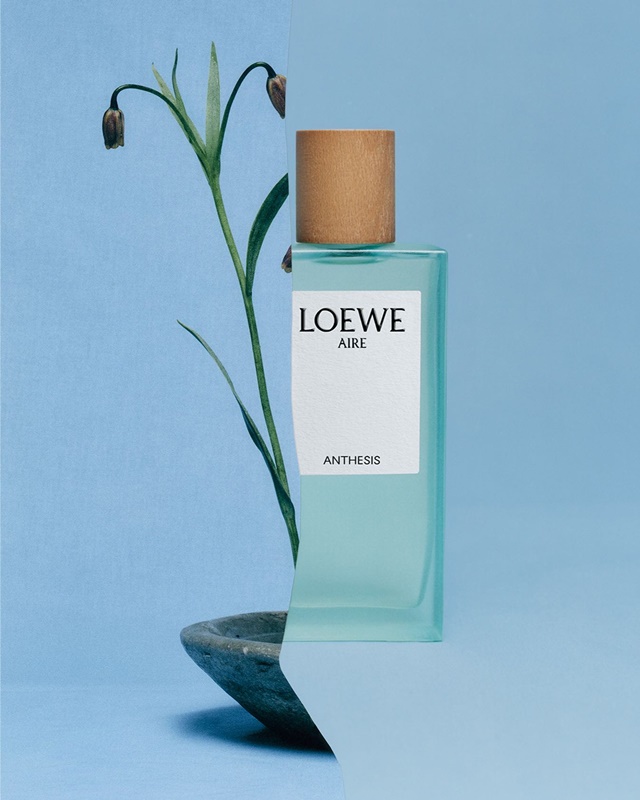 loewe-2-7-4