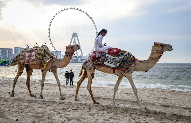 du-lich-dieu-dung-vi-chien-su-trung-dong