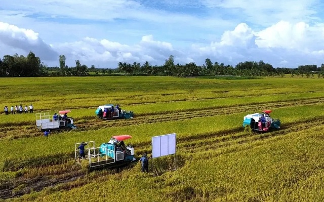 doanh-nghiep-hiep-hoi-chung-tay-giu-nhip-san-xuat-nong-nghiep