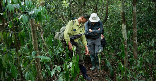 Tour lạ ở Cát Tiên: Du khách theo kiểm lâm tuần tra, ngủ giữa rừng sâu