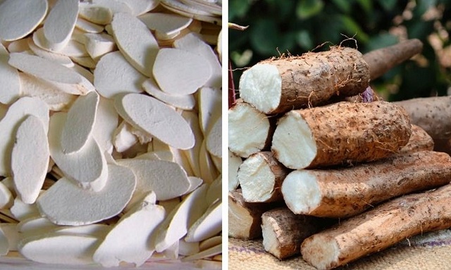 Tác dụng của củ hoài sơn tươi với sức khỏe