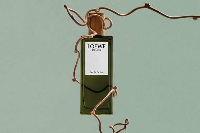 loewe-13-4-4