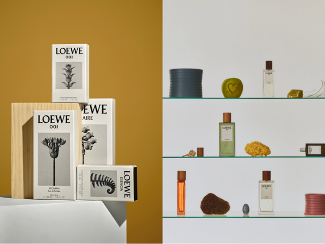 LOEWE-5-12-7