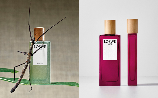 LOEWE-AIRE-SUTILEZA-5-35