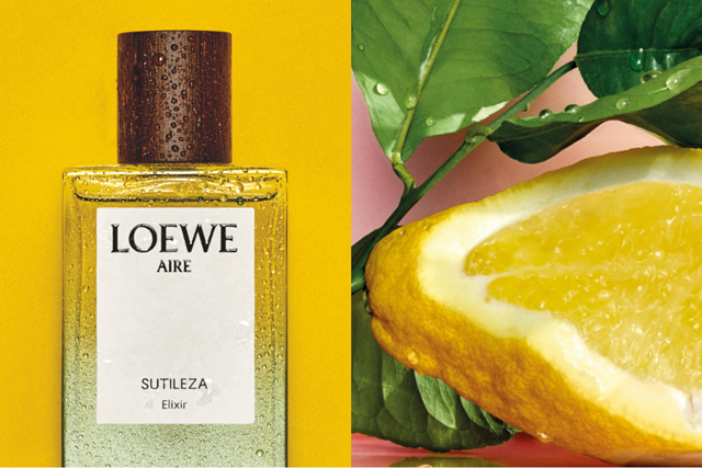 loewe-perfumes-1-52