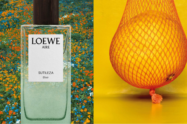 loewe-perfumes-1-53