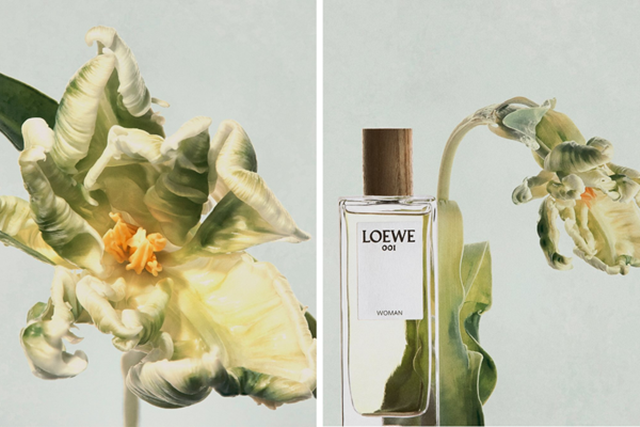 Loewe-27-5-3